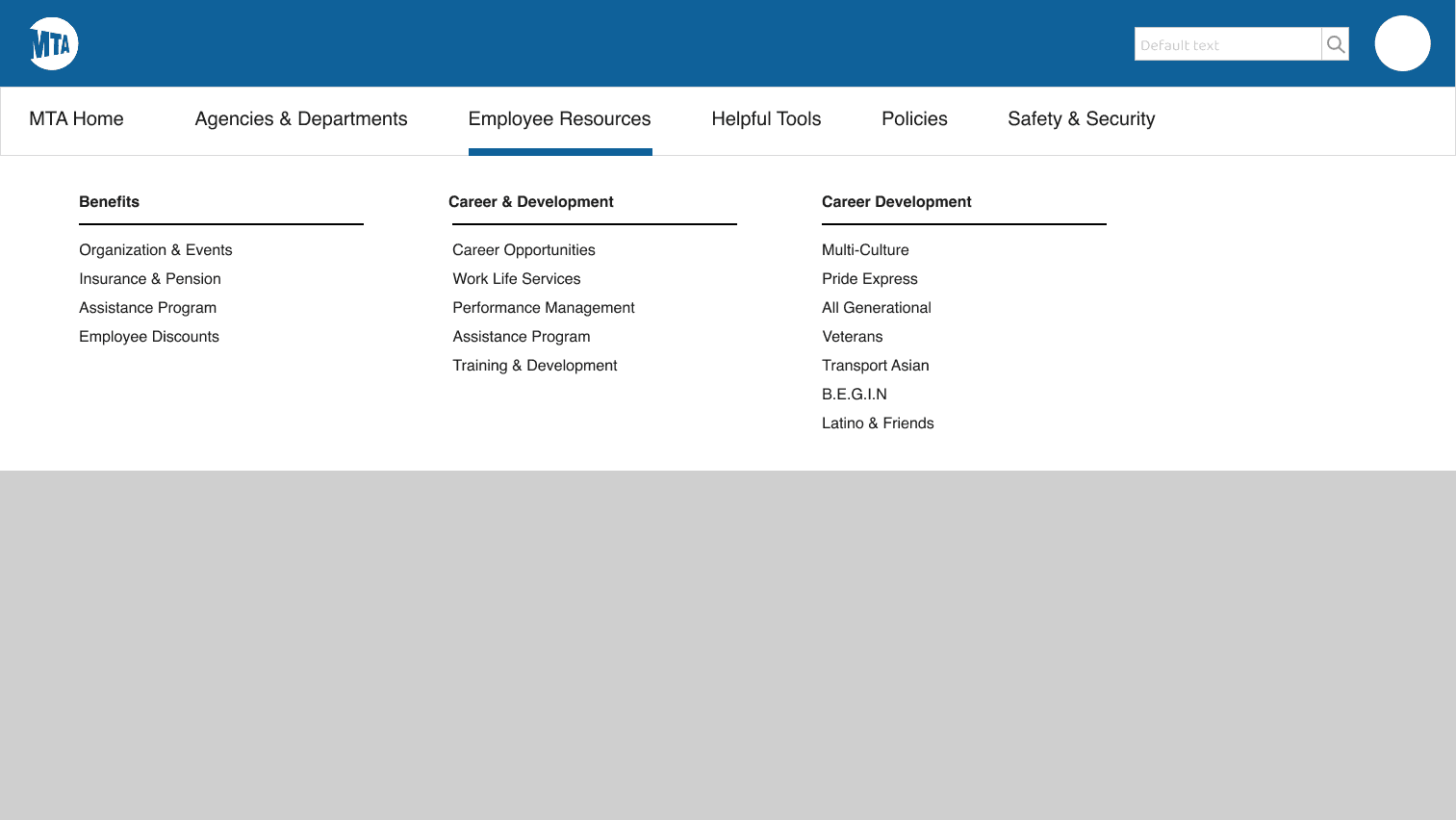 Option 2: Mega Menu Navigation